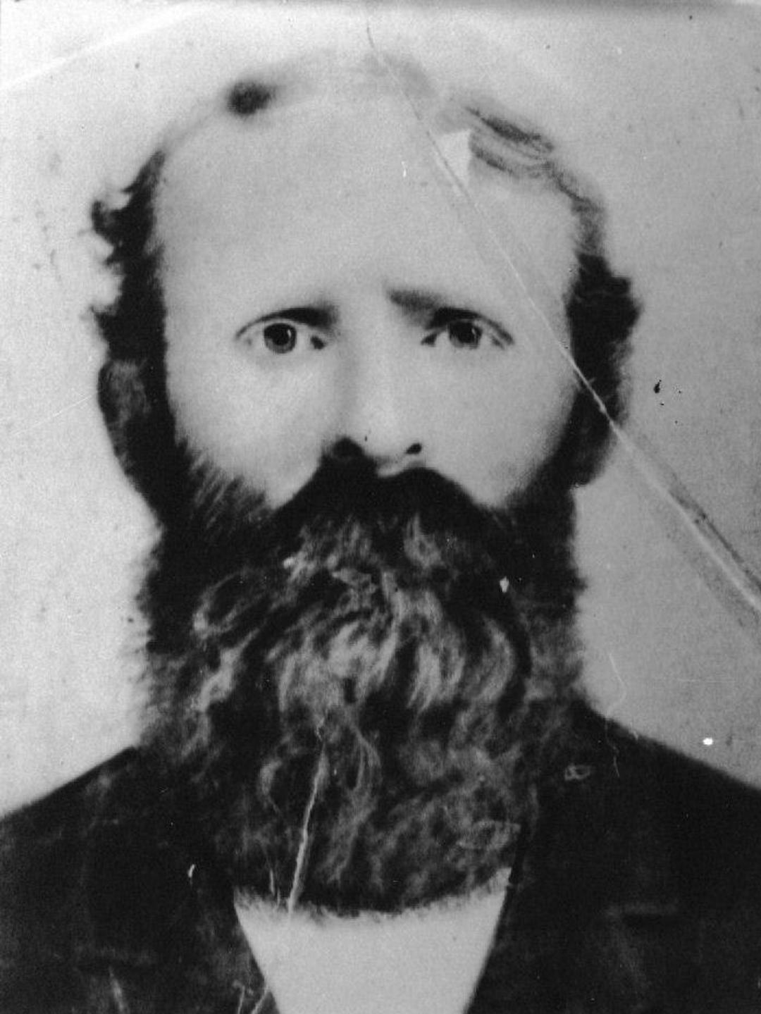 John Reese (1834 - 1919) Profile